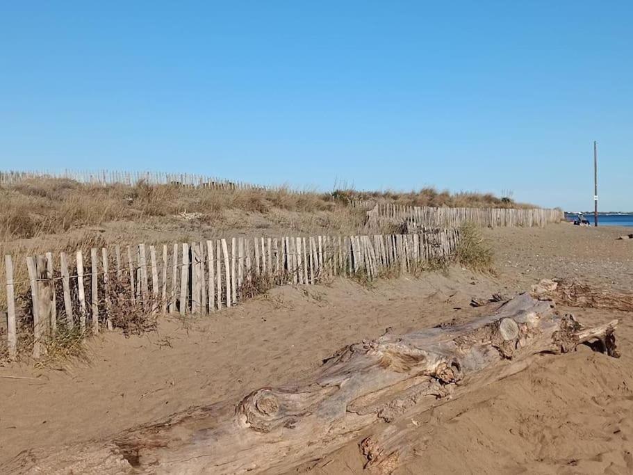 Au Cap D'agde Dans Les Pinedes