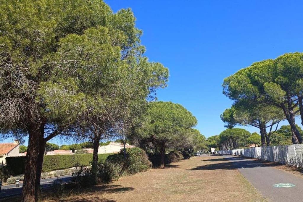 Au Cap D'agde Dans Les Pinedes