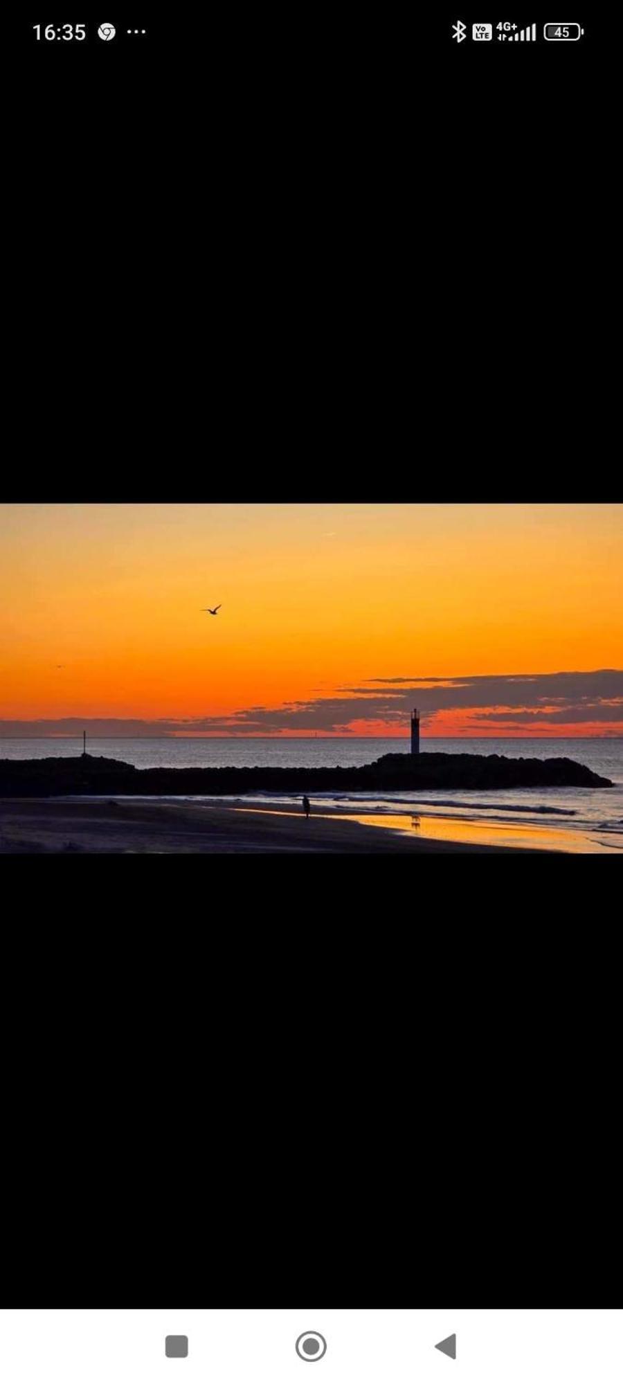 Au Cap D'agde Dans Les Pinedes