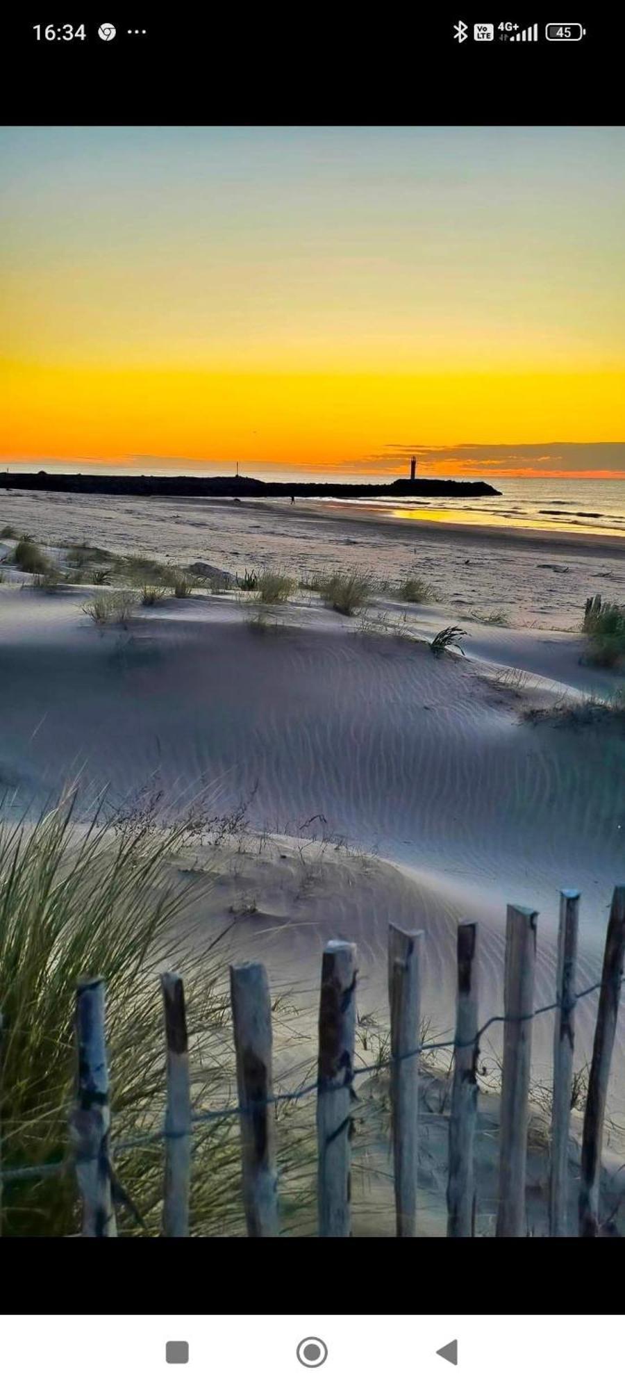 Au Cap D'agde Dans Les Pinedes